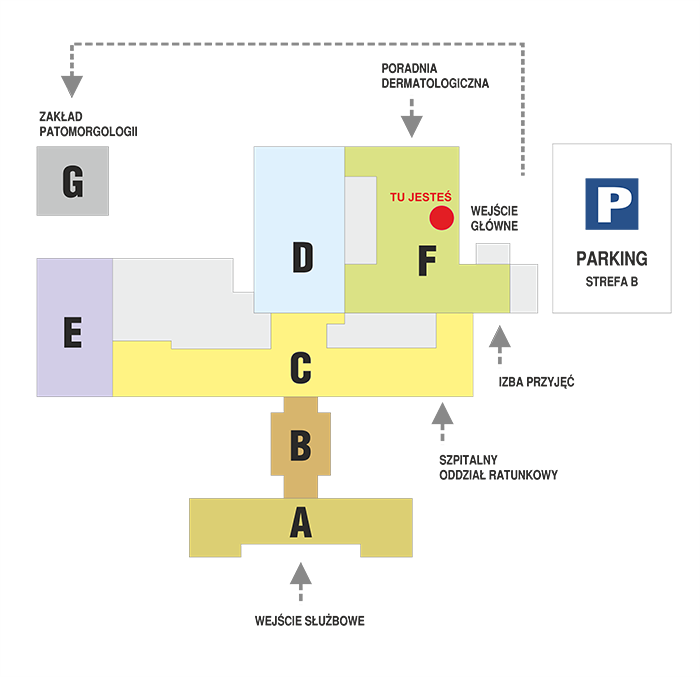 plan_mssw